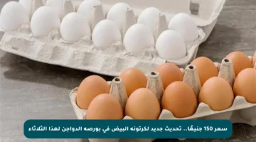 سعر 150 جنيهًا.. تحديث جديد لكرتونة البيض في بورصة الدواجن لهذا الثلاثاء